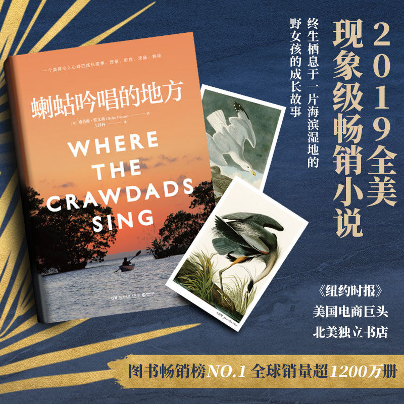 蝲蛄吟唱的地方 迪莉娅欧文斯 女性成长自然生态小说 沼泽深处的女孩 电影 外国文学悬疑爱情小说博集天卷热卖书籍 正版