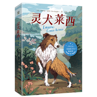【官方正版】灵犬莱西 埃里克·奈特著 没有什么可以阻挡 一只忠犬回家的步伐 也是有史以来催人泪下的狗狗故事之一博集天卷
