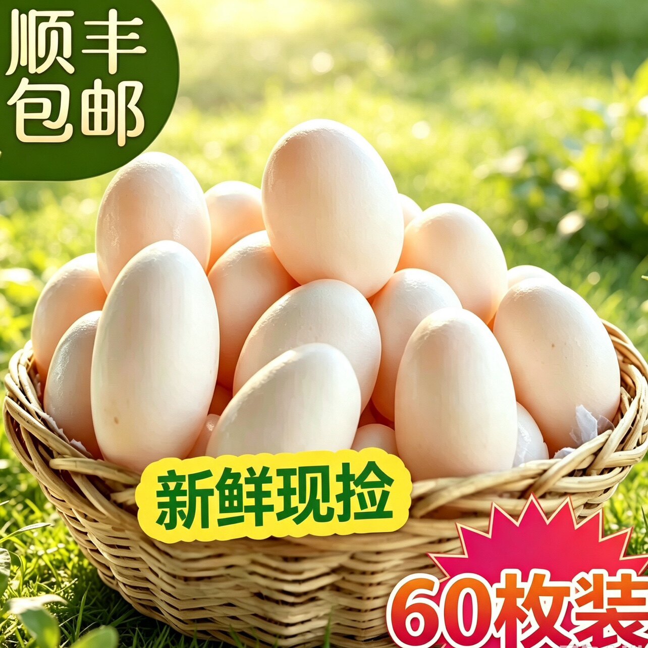 农家散养新鲜鸽子蛋土破碎包赔
