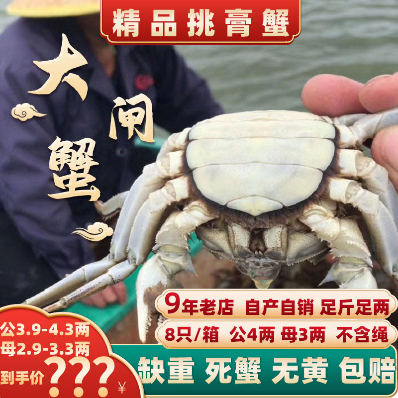 [活蟹]兴化精品红膏大闸蟹4两公蟹3两母鲜活螃蟹现货水产河蟹8只