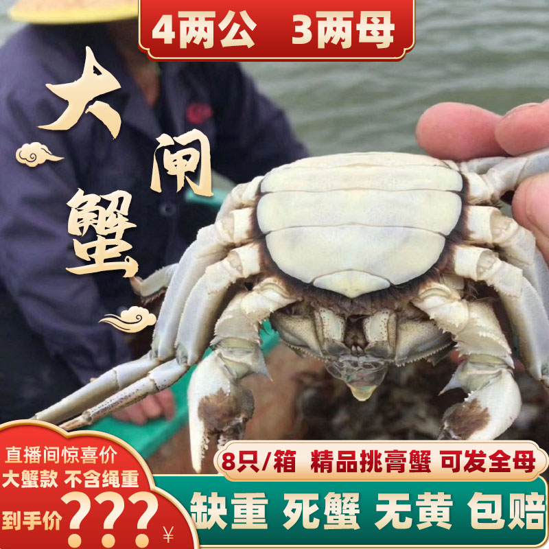 3两全母大闸蟹兴化红膏蟹现货