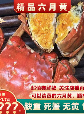精挑满黄六月黄大闸蟹实惠尝鲜装