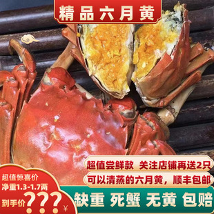 [活蟹]兴化精品六月黄大闸蟹鲜活螃蟹现货海鲜河蟹12只裸重不含绳