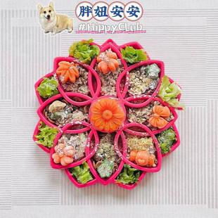 美国Sodapup同厂曼陀罗慢食盘猫狗宠物解压益智防噎食慢食碗多款