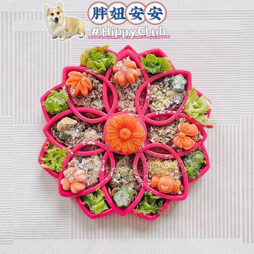 宠物慢食盘美国易清洁防压猫狗碗