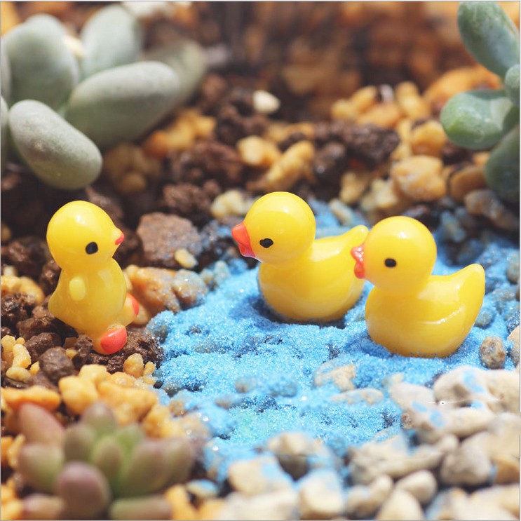 園藝裝配飾 微景觀 木質 多肉裝飾物 造景模型配件素材苔藓布景在類目 鮮花速遞/花卉仿真/綠植園藝, 園藝用品, 其它園藝用品中 - 來自Buy2taobao.com提供專業的淘寶代購服務