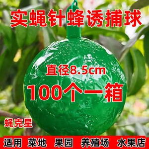 果蝇诱捕器丝瓜果树菜园粘虫球针锋引诱剂马蜂柑橘实蝇粘虫板橘子