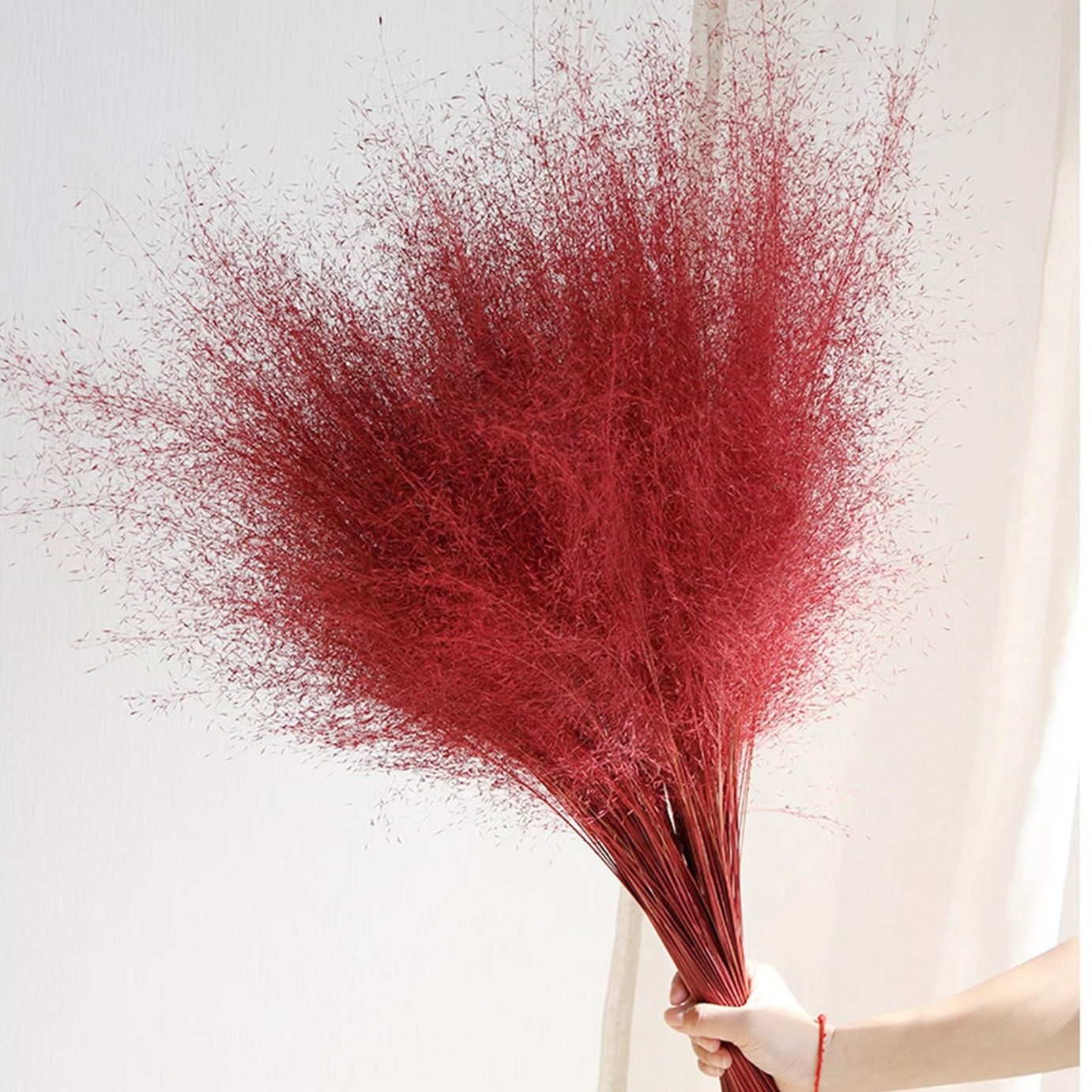 粉黛乱子草干花永生花束婚礼装饰家居ins风摆件配草永生粉黛批发,鲜花速递/花卉仿真/绿植园艺,永生花,淘宝优惠券,粉丝福利购,淘宝优惠卷