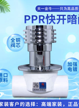 天一 金牛 品质家装  ppr快开暗阀 阀门ppr水管配件 4分 6分