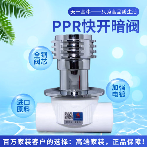 天一金牛品质家装ppr快开6分暗阀