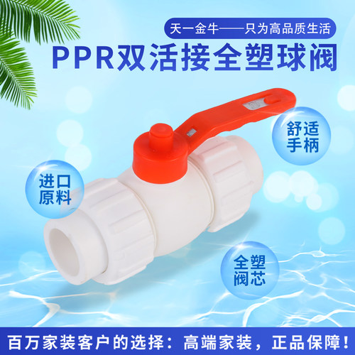 天一金牛ppr全塑双活接