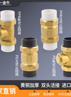 天一金牛全铜ppr双活接止回阀立式卧式4分6分1寸单向阀PE止逆阀