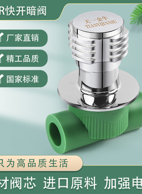 天一 金牛 品质家装  ppr绿色快开暗阀 阀门水管配件 4分 6分