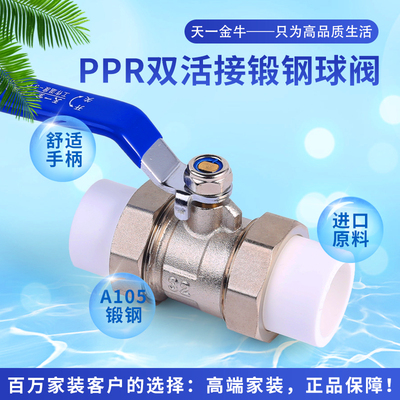 A105锻钢碳素钢PPR双活接