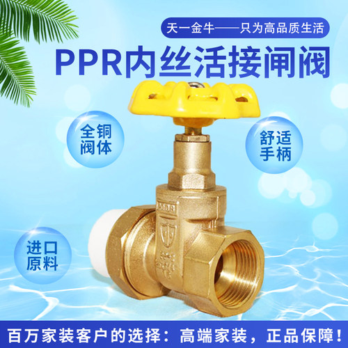天一金牛ppr内丝活接全铜闸阀