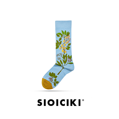sioiciki设计师男女棉柠檬中筒袜