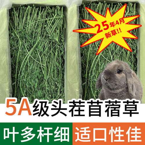 紫花苜蓿草兔子烘干草饲料粮草宠物幼兔豚鼠龙猫荷兰猪侏儒兔