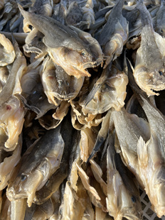 咸海鲶鱼干海货扔巴鱼咸鱼干胖头鱼小咸鱼楞吧鱼油煎小咸鱼包邮