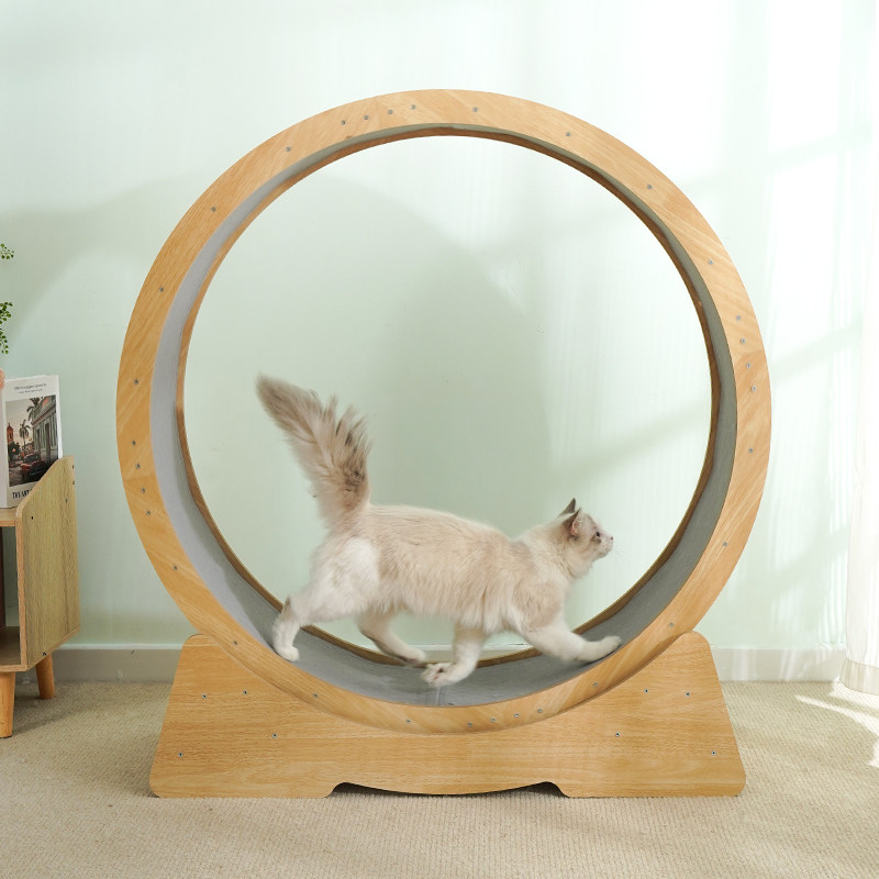 喵选猫爬架猫窝猫爬架猫窝