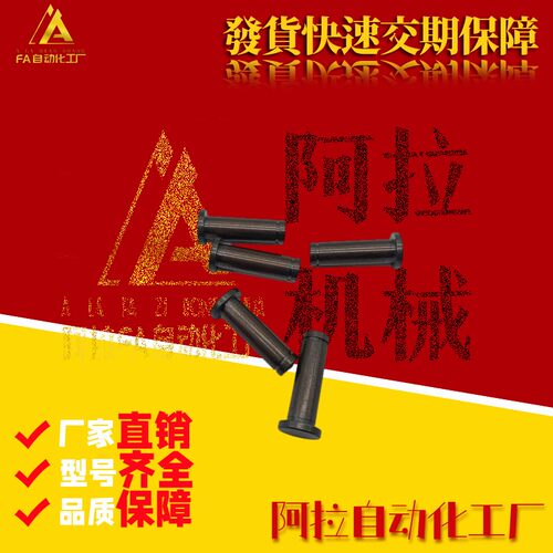 带肩铰链销挡圈固定型MIC01 MIC02 MIC06 MIC11 12 13 14 15 21