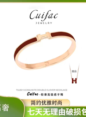 时尚优雅轻奢高级感简约小众设计感百搭镀金不掉色钛钢手镯项链女