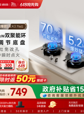德意星火大火力燃气灶双灶家用煤气灶灶台716