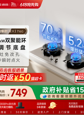 德意星火大火力燃气灶双灶家用厨房煤气灶灶台炉灶716官方旗舰店