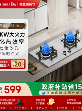 德意燃气灶不锈钢家用煤气灶天然气灶炉灶液化气灶台节能713AG