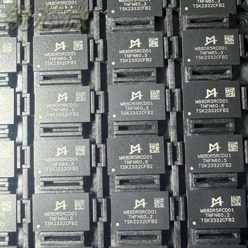 M88DR5RCD01B2-T M88DR5RCD02A1-T澜起 DDR5 RCD 全新BGA询价为准