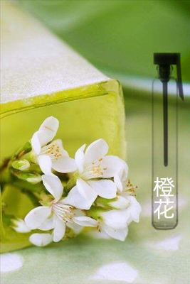 朴缇自调 橙花香水 淡香水清新淡雅花香 简单 干净香薰喷雾