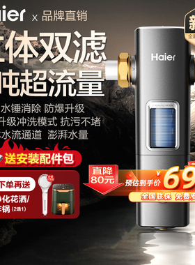海尔前置过滤器家用双滤网反冲洗全屋自来水净水机银河proS22新品