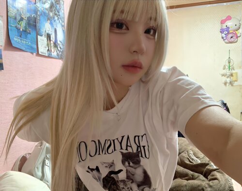 趣味超可爱只小猫印花百搭短袖