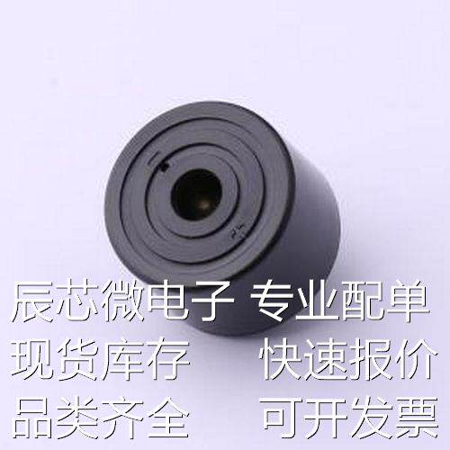 GPD2416YB-12V3500 蜂鸣器 GPD2416YB-12V3500 - 蜂鸣器原装现货
