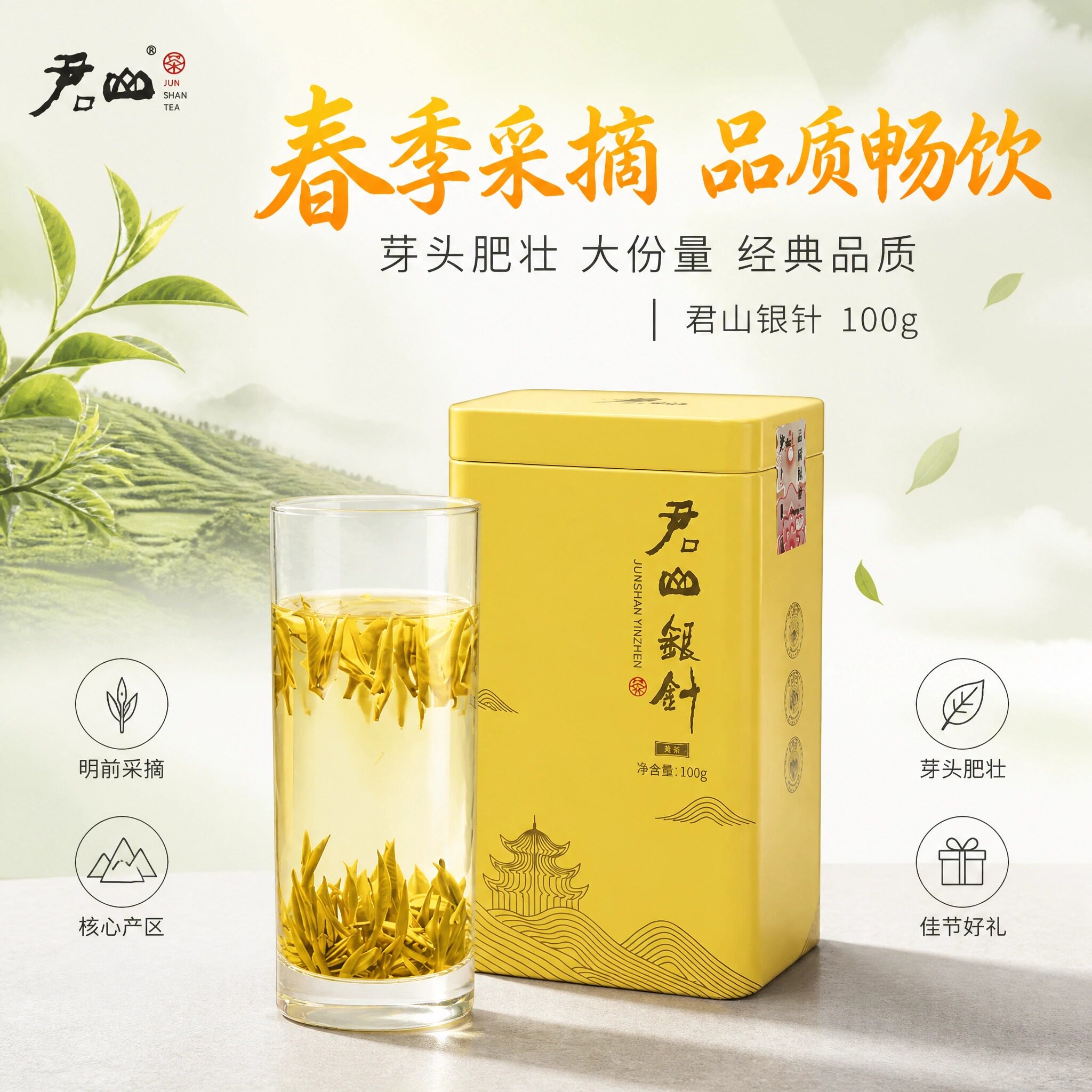 君山银针特级黄茶君山原产图片