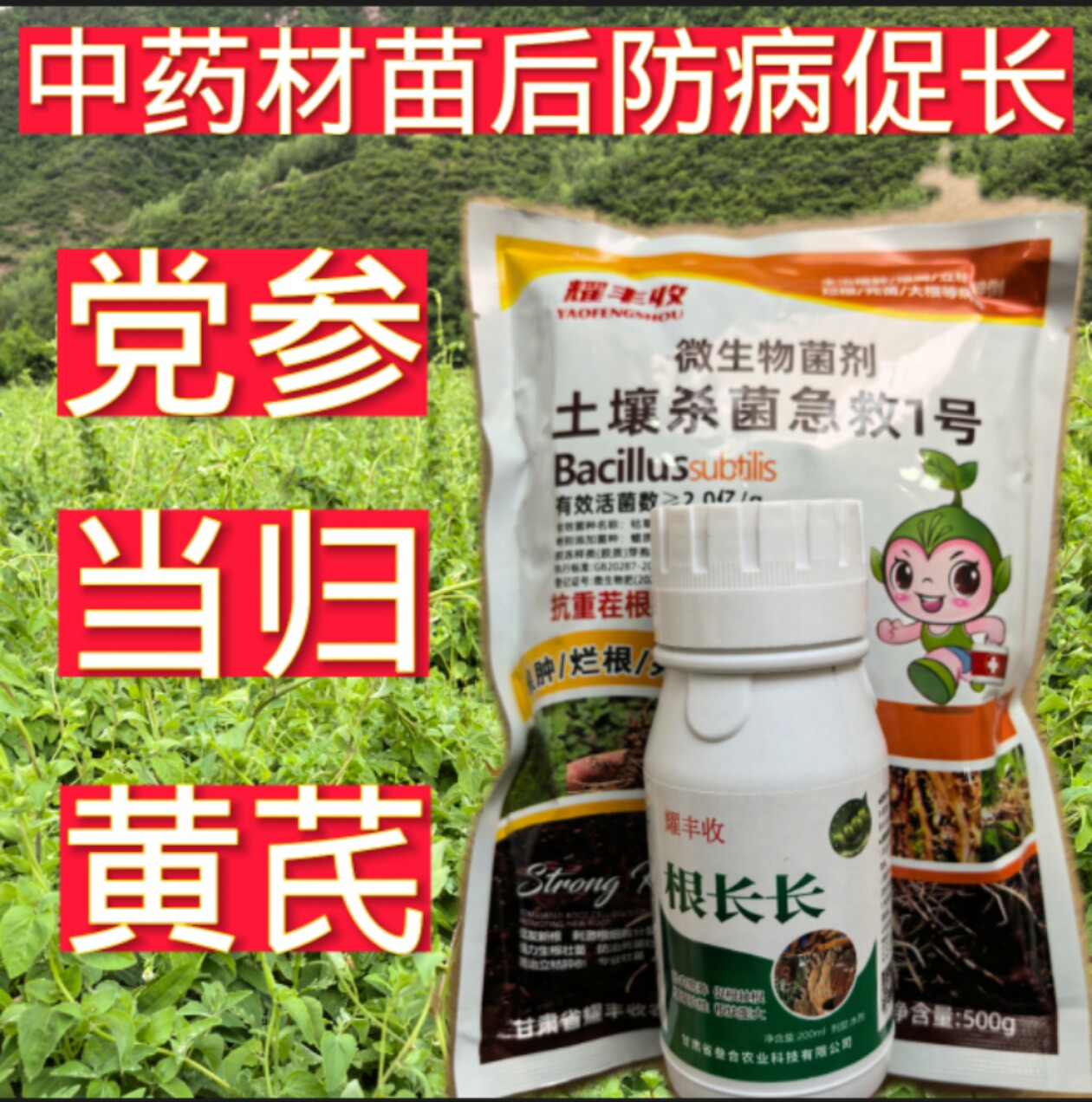 耀丰收正品种药材专用提苗促长生根防病套餐效果好复购率高