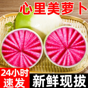 心里美水果萝卜甜脆水果型潍坊潍县新鲜正宗生吃5青绿皮红心萝卜