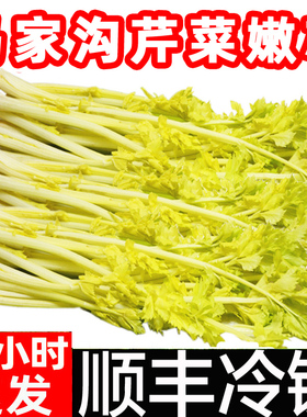 马家沟芹菜芯新鲜芹菜心空心芹菜大叶黄精品嫩芯西芹鲍芹蔬菜