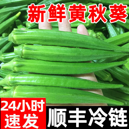 水果黄秋葵顺丰应季六角豆批发
