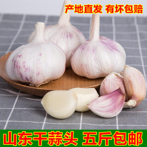 大蒜头干蒜新鲜紫皮多瓣