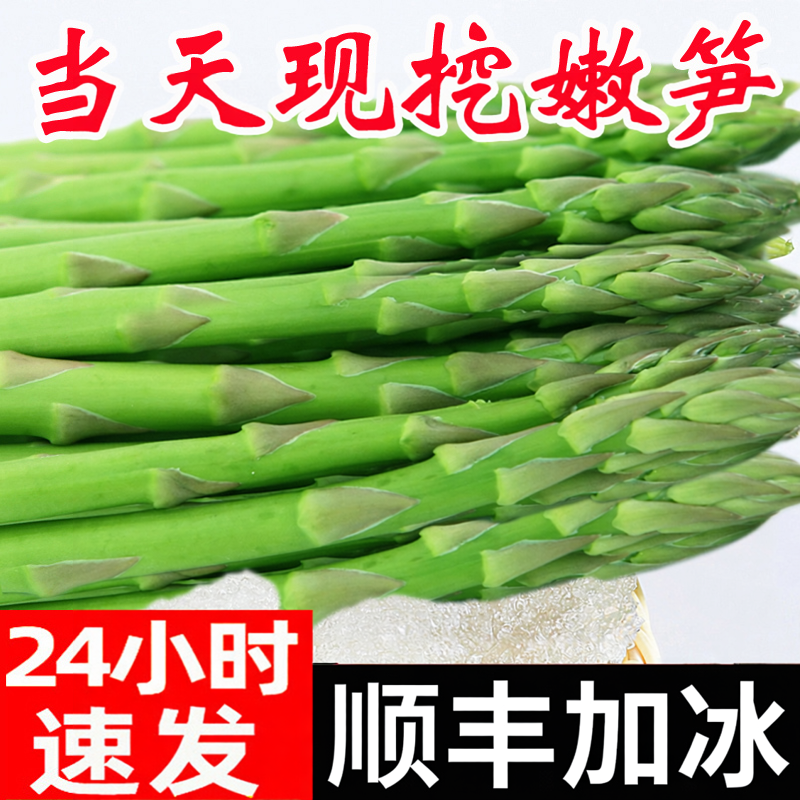 头茬芦笋新鲜特级产地直销现挖5斤嫩青笋尖绿鲜芦笋嫩龙须菜蔬菜