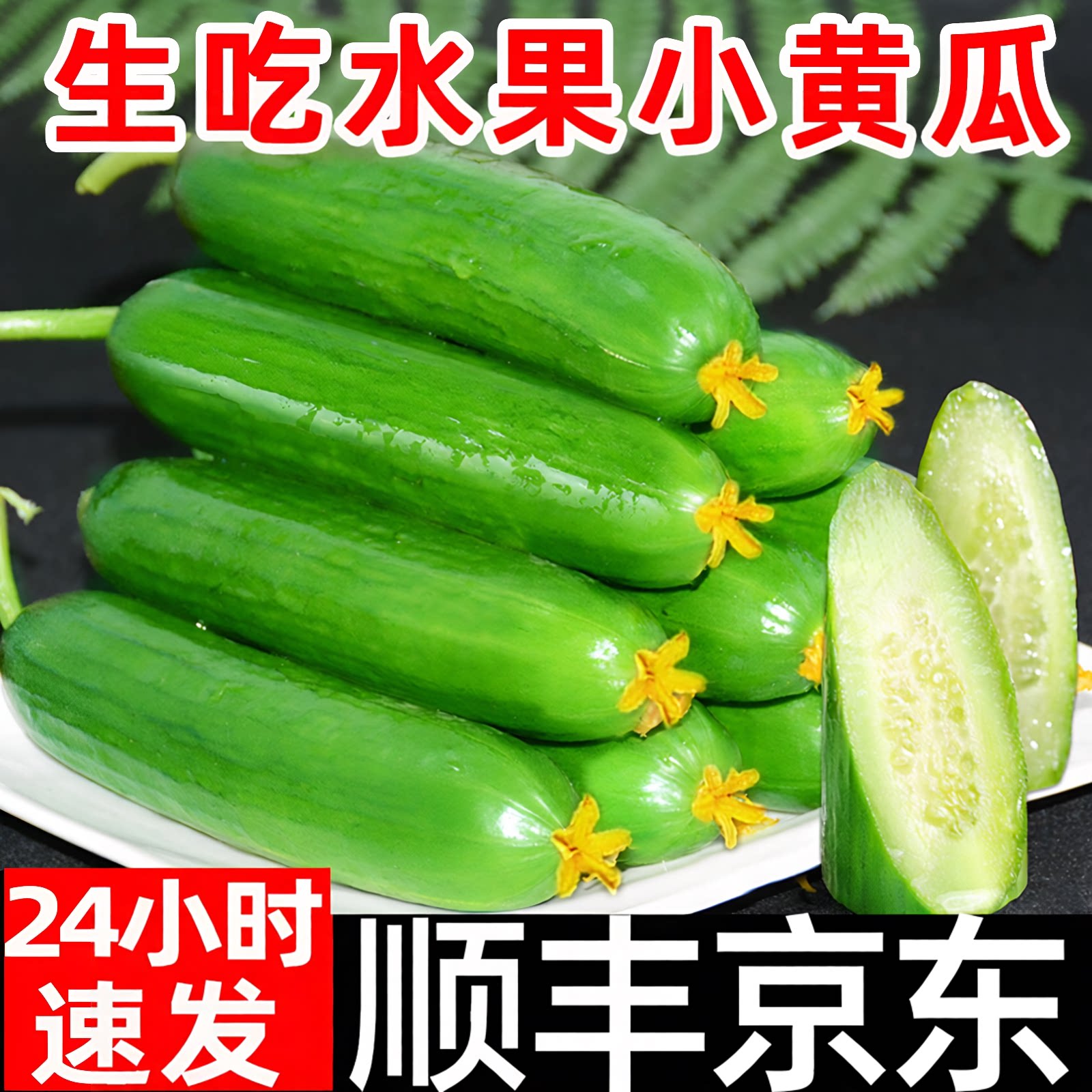 水果小黄瓜新鲜顺丰玉女黄瓜5斤白玉黄瓜小拇指青瓜现摘生吃包邮