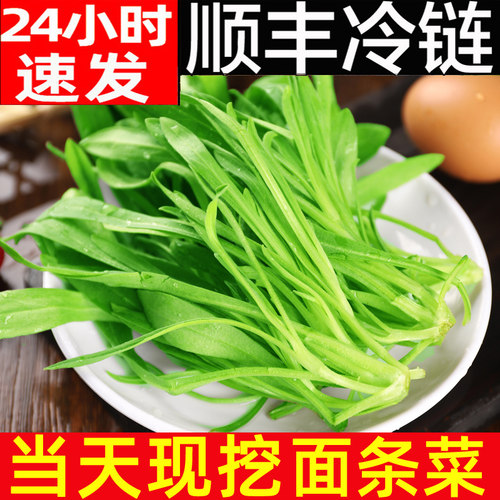 新鲜现挖面条菜野菜脆嫩