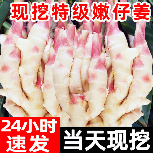 现挖嫩姜特级现挖大仔姜
