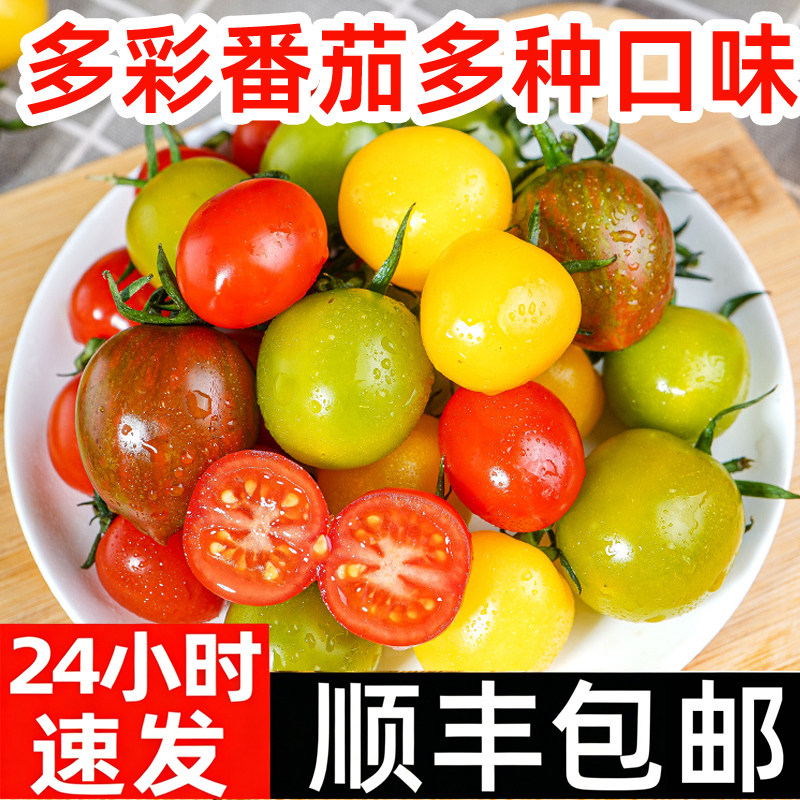 多彩番茄新鲜圣女果七彩樱桃小番茄水果五彩小西红柿子千禧顺丰