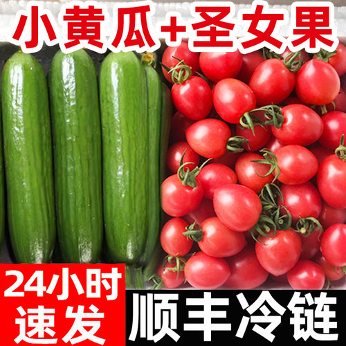 顺丰圣女果小黄瓜现摘小番茄新鲜