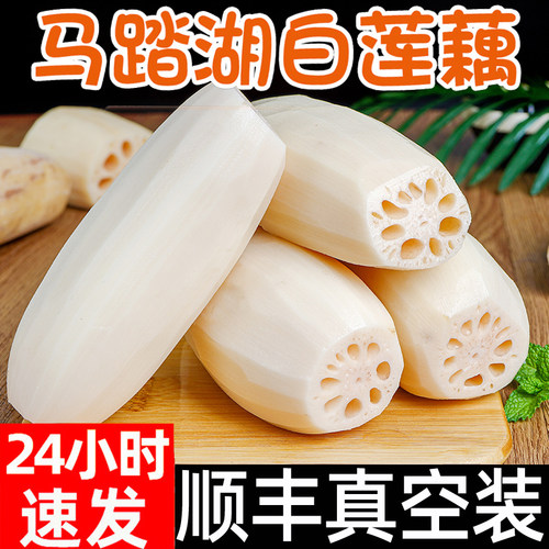 马踏湖白莲藕新鲜脆藕新鲜蔬菜顺丰包邮山东淄博生吃藕现挖凉拌藕 - 封面