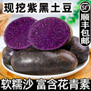 紫土豆黑土豆黑金刚新鲜紫色洋芋马铃薯黑美人迷你小土豆蔬菜