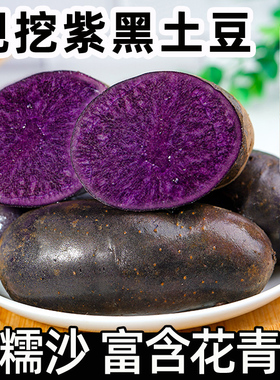 紫土豆黑土豆黑金刚新鲜紫色洋芋马铃薯黑美人迷你小土豆蔬菜