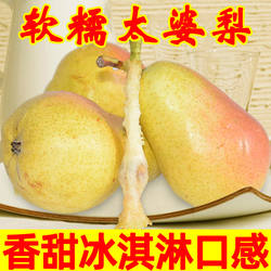 烟台太婆梨新鲜山东软梨老婆梨大头梨香软梨洋茄梨啤梨水果批发