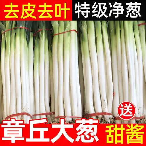山东章丘大葱特级新鲜脆甜送甜酱